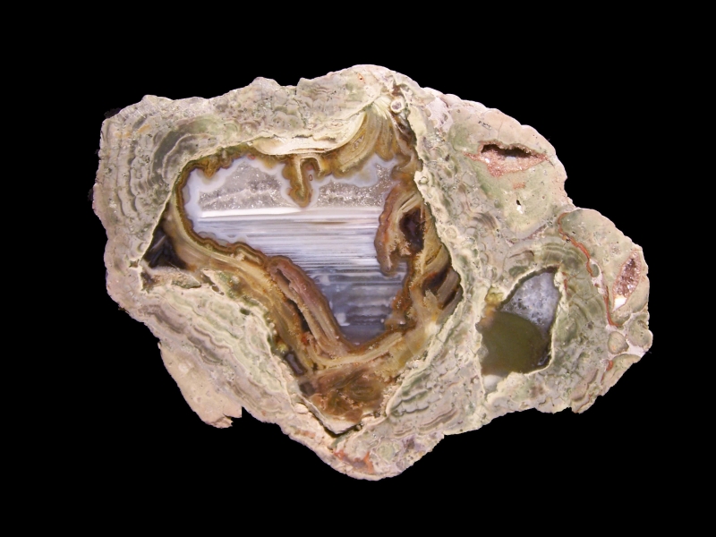 Fallen Tree Thunderegg